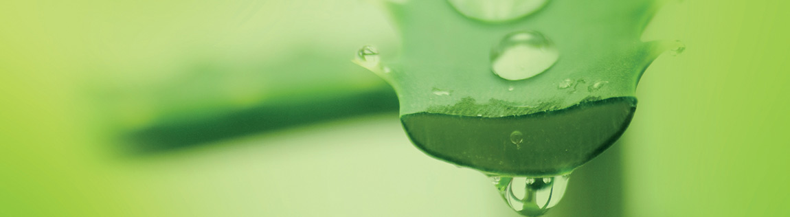sustainability